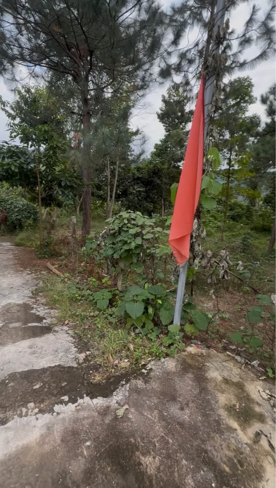 Bán đất nghỉ dưỡng Ngọc Thanh, Phúc Yên view suối, mặt tiền rộng