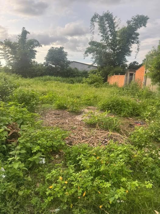 Đất thổ cư diện tích 6x35m tại Thôn 8, Cư Bua, Buôn Ma Thuột giá chỉ 625 triệu