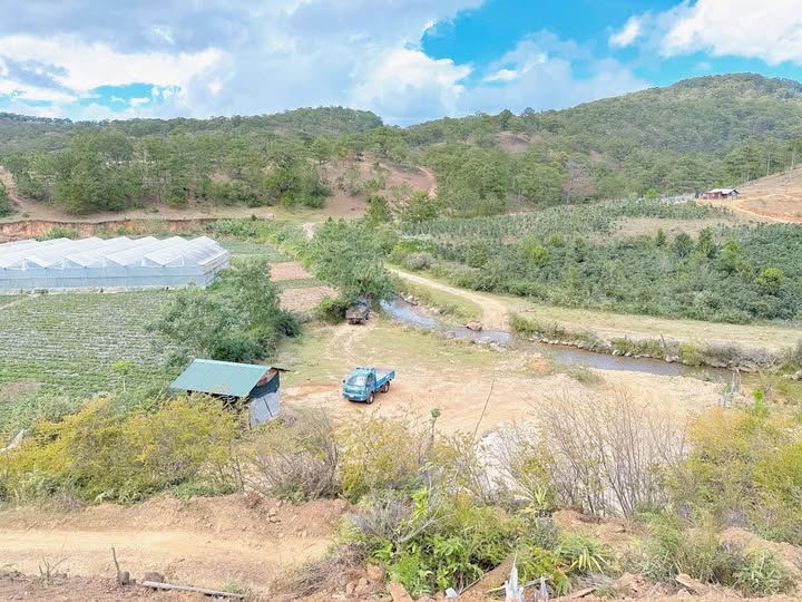 Đất Đà Lạt view triệu đô, sẵn sàng làm nông dân chuyên nghiệp