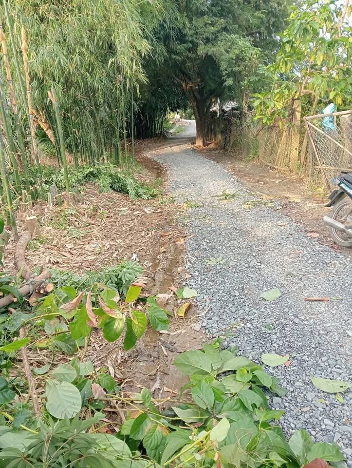 Bán nền tặng nhà tiền chế, 464m2, gần nhà thờ Tân Phú Trung, Đồng Tháp