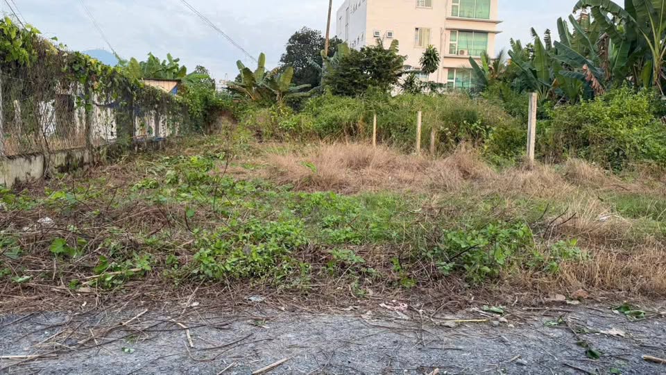 Đất Ninh Sơn hạ giá sập sàn, khu bàn cờ xịn sò, đường ô tô