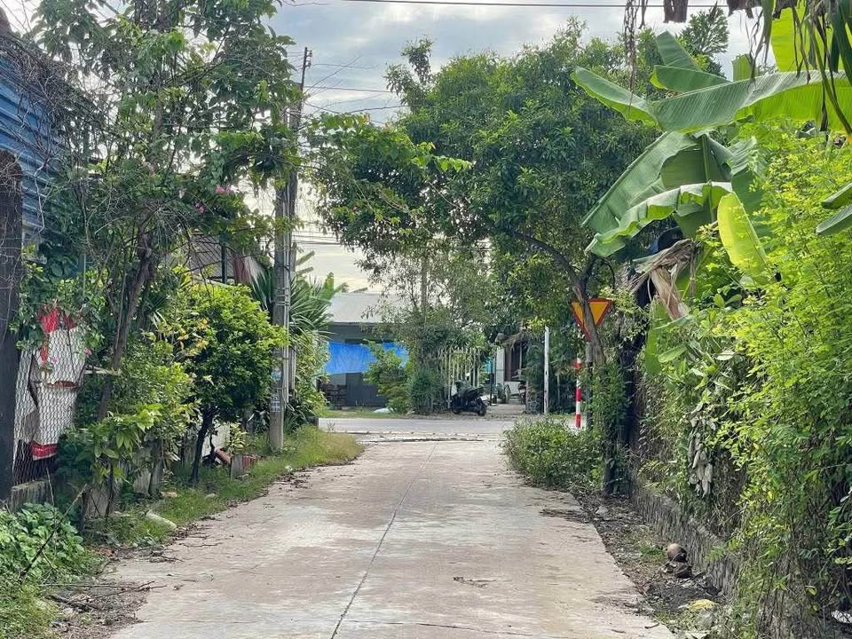 Đất thổ cư 6m x 29.5m, KDC Đông, gần đường nhựa, Phước An, Phước Thạnh, Gò Dầu, Tây Ninh - Giá 350 triệu