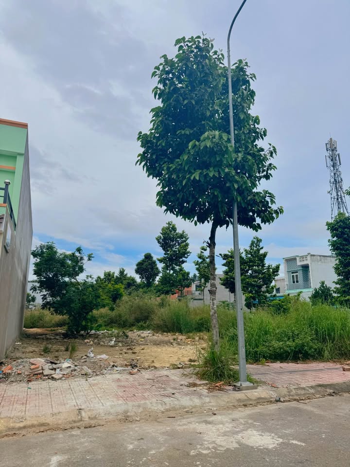 Đất mặt tiền đường 13m, diện tích 81m2, sổ hồng riêng, Tân Hiệp, Tân Uyên, Bình Dương