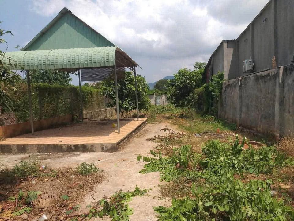 Bán đất mặt tiền đường nhựa 320m2 tại Bà Rịa, hướng Đông Nam