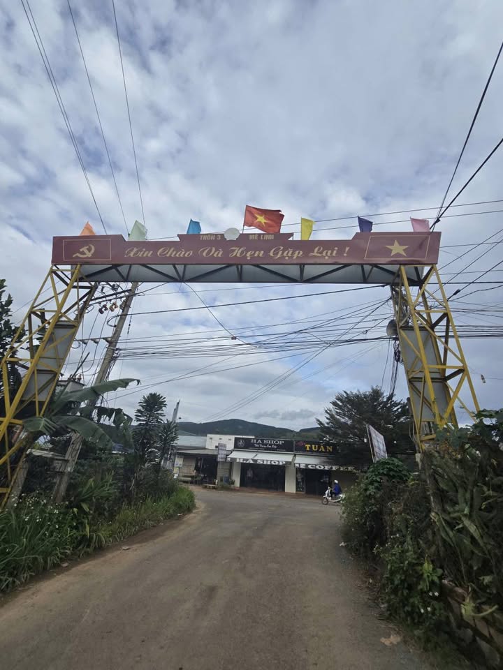 Chủ kẹt cần bán gấp lô đất nông nghiệp rộng 1.4ha tại thôn 3, Mê Linh, Lâm Đồng