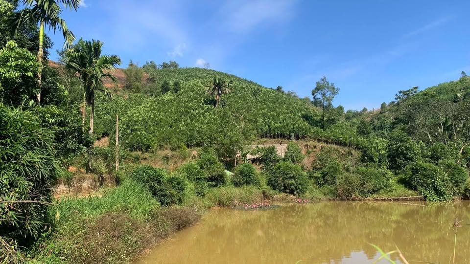 Bán đất Tân Thịnh Cũ, Tuyên Quang mặt đường rộng, sổ đỏ sẵn sàng