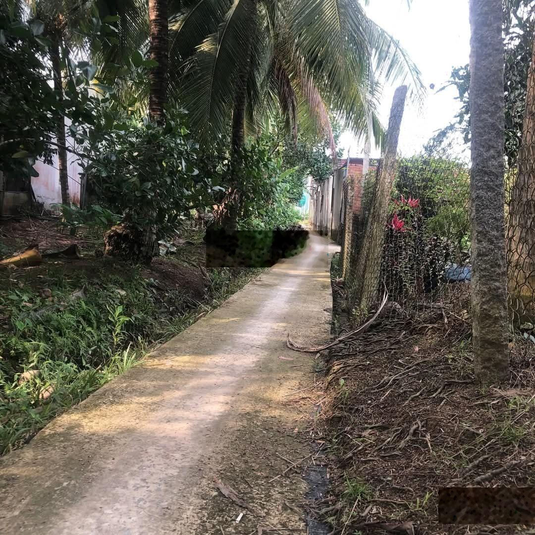 Bán đất chính chủ đường Mỹ Trang - Nhị Mỹ - Tx. Cai Lậy - T Tiền Giang