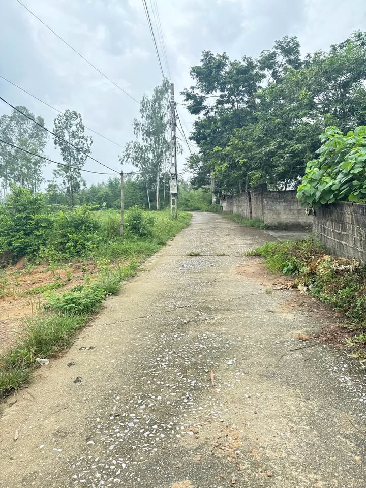 Đất Vĩnh Phúc 100m2 chỉ hơn 300 củ, sổ đỏ sẵn sàng, tiềm năng X2 là chắc