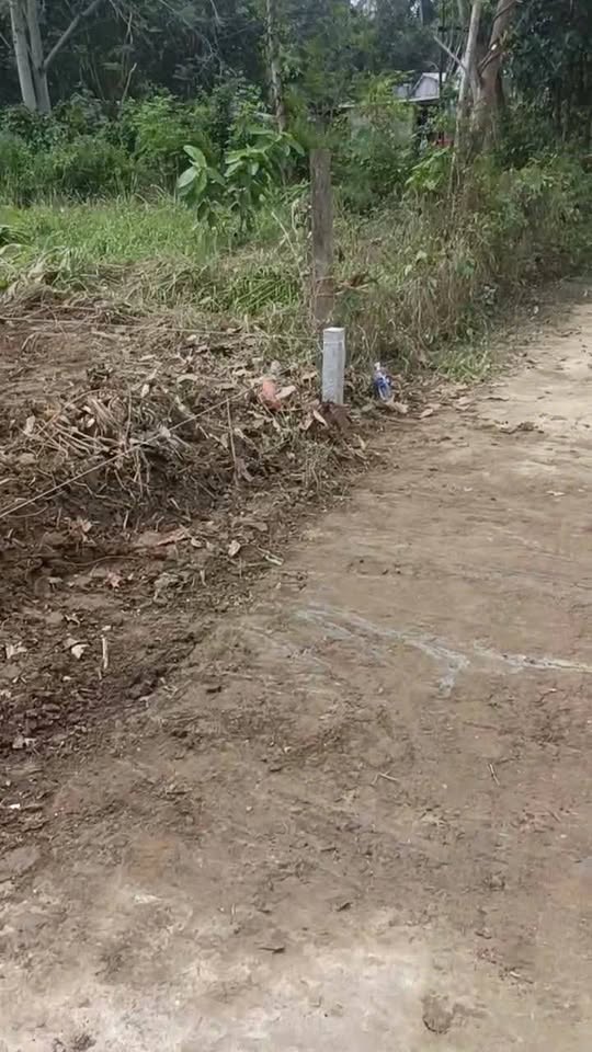 Đất vàng Đà Nẵng 150m2 mặt tiền 7m, sổ đỏ sẵn sàng, cơ hội đầu tư không thể bỏ lỡ