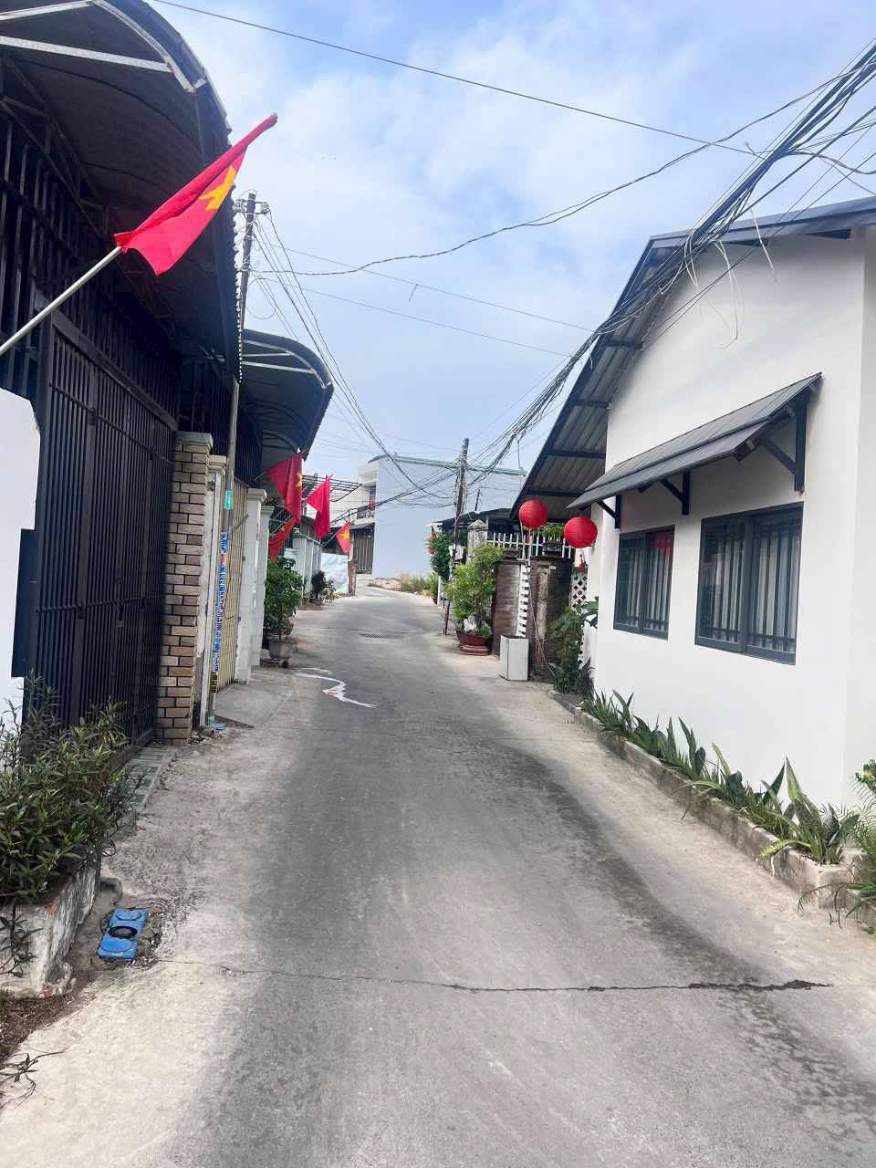 ảnh