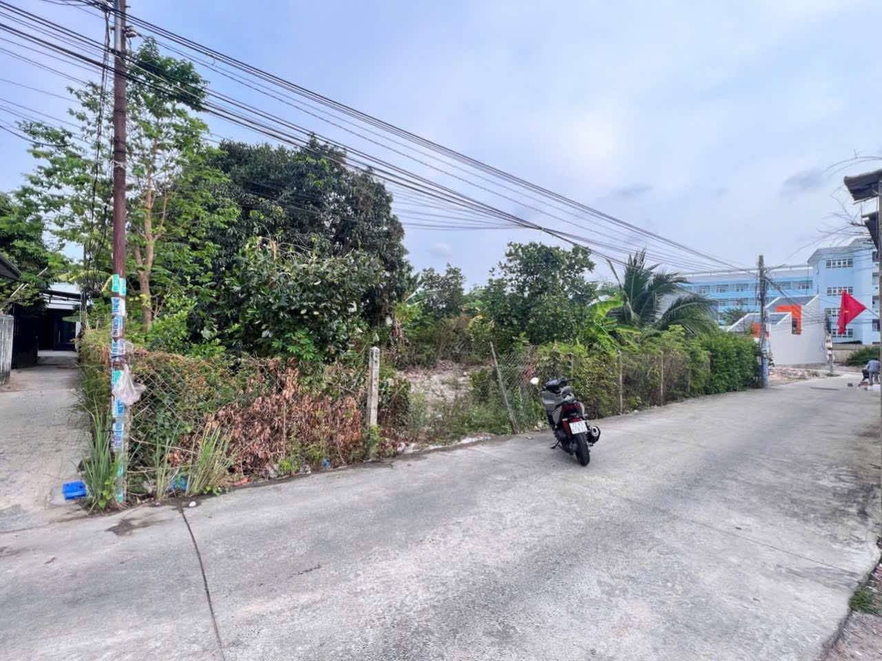ảnh