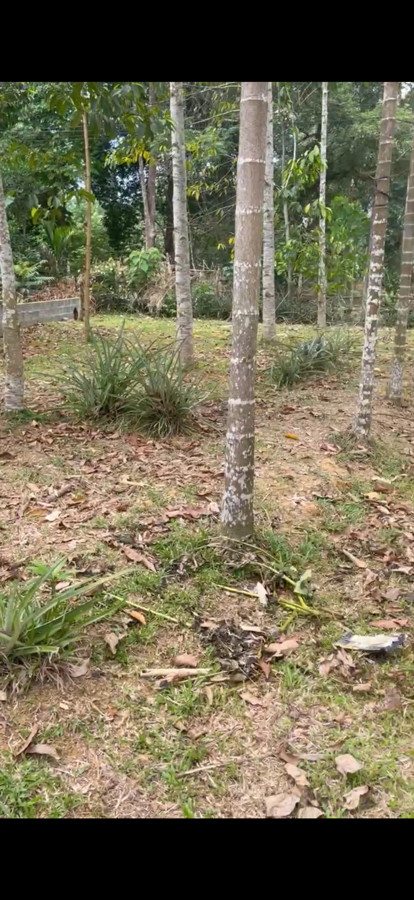 Siêu phẩm đất nền Lạc Sơn, Hòa Bình đã cập bến