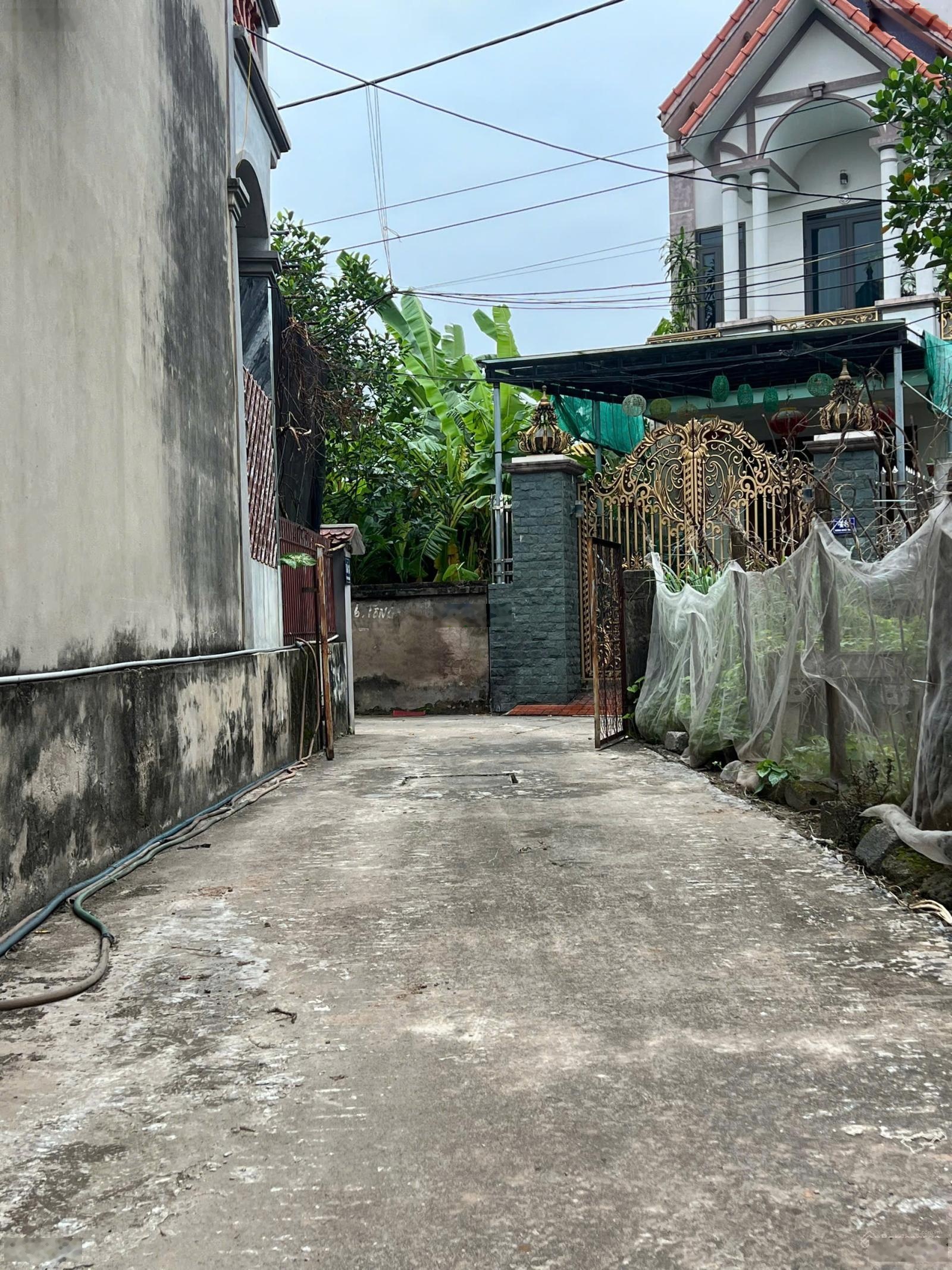 Bán đất ở Xã Hồng Vân, Thường Tín, Hà Nội, giá siêu hời chỉ với 3,8 tỷ, 64m2