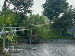 Cần bán nhà biệt thự mini mới xây ở Đại Trà Đông Phương - Kiến Thuỵ