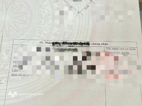 Bán biệt thự 150m đường trần nhân tông