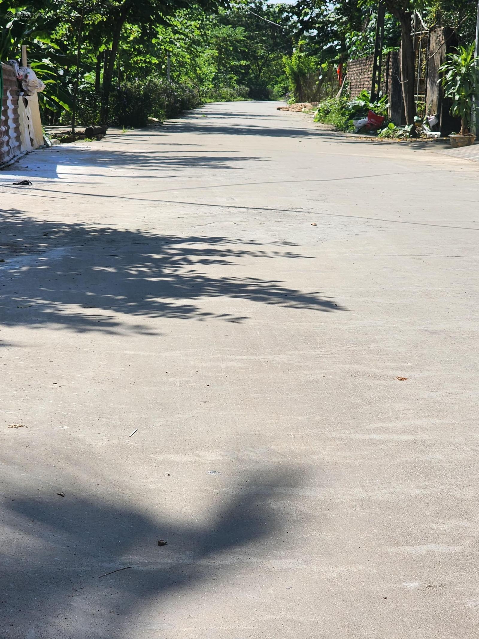 Bán Đất tại Xã Tráng Việt, Mê Linh, Hà Nội, 73 triệu / m2, 91 m2, giá ưu đãi hàng hiếm