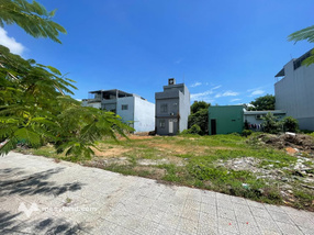 Đất Võ An Ninh, Cẩm Lệ, cho thuê siêu rẻ, diện tích lớn, giá cực hời