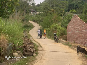 Đất Tân Phong 4000m2 view quảng trường, biệt thự, nghỉ dưỡng bao phê