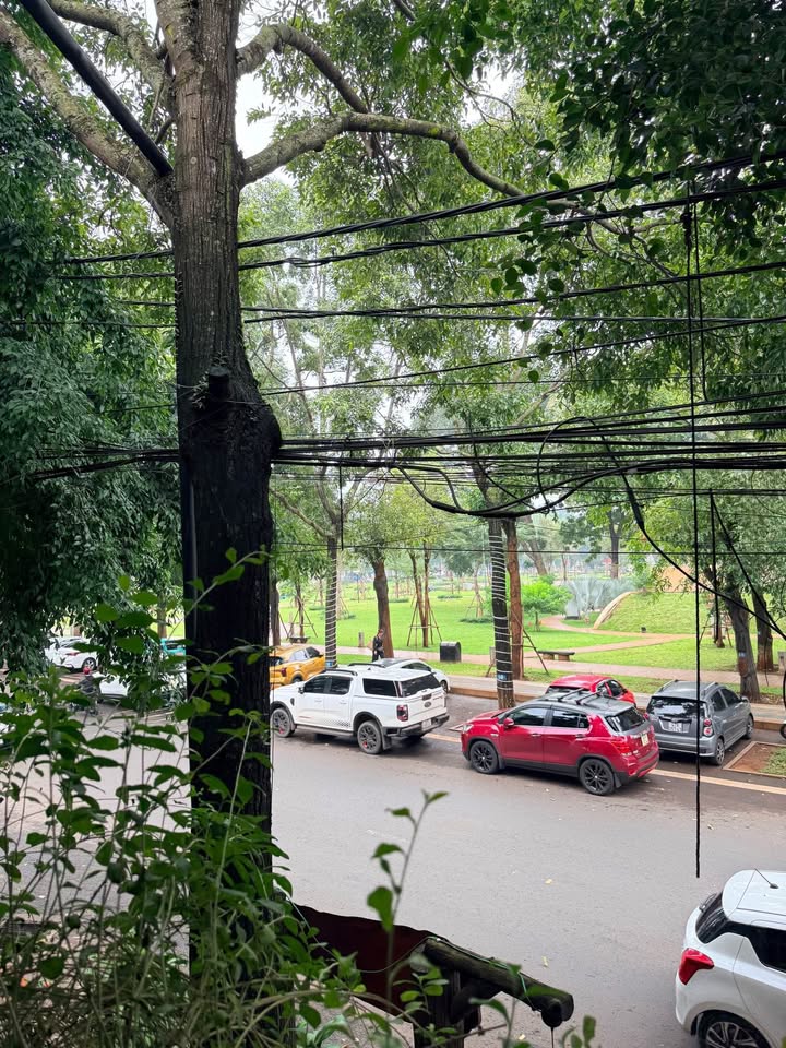 Đất vàng Buôn Ma Thuột 1,65 tỷ sở hữu ngay lô 11x60m thổ cư