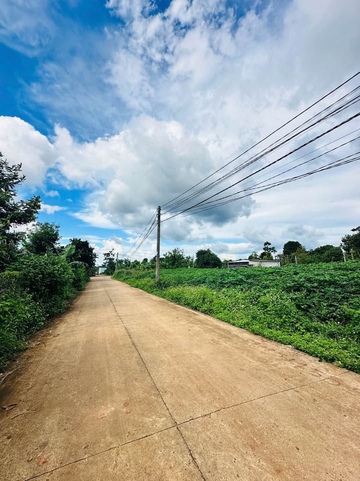 Đất vàng Cusuê, ô tô tránh nhau, tiềm năng tăng giá cực mạnh