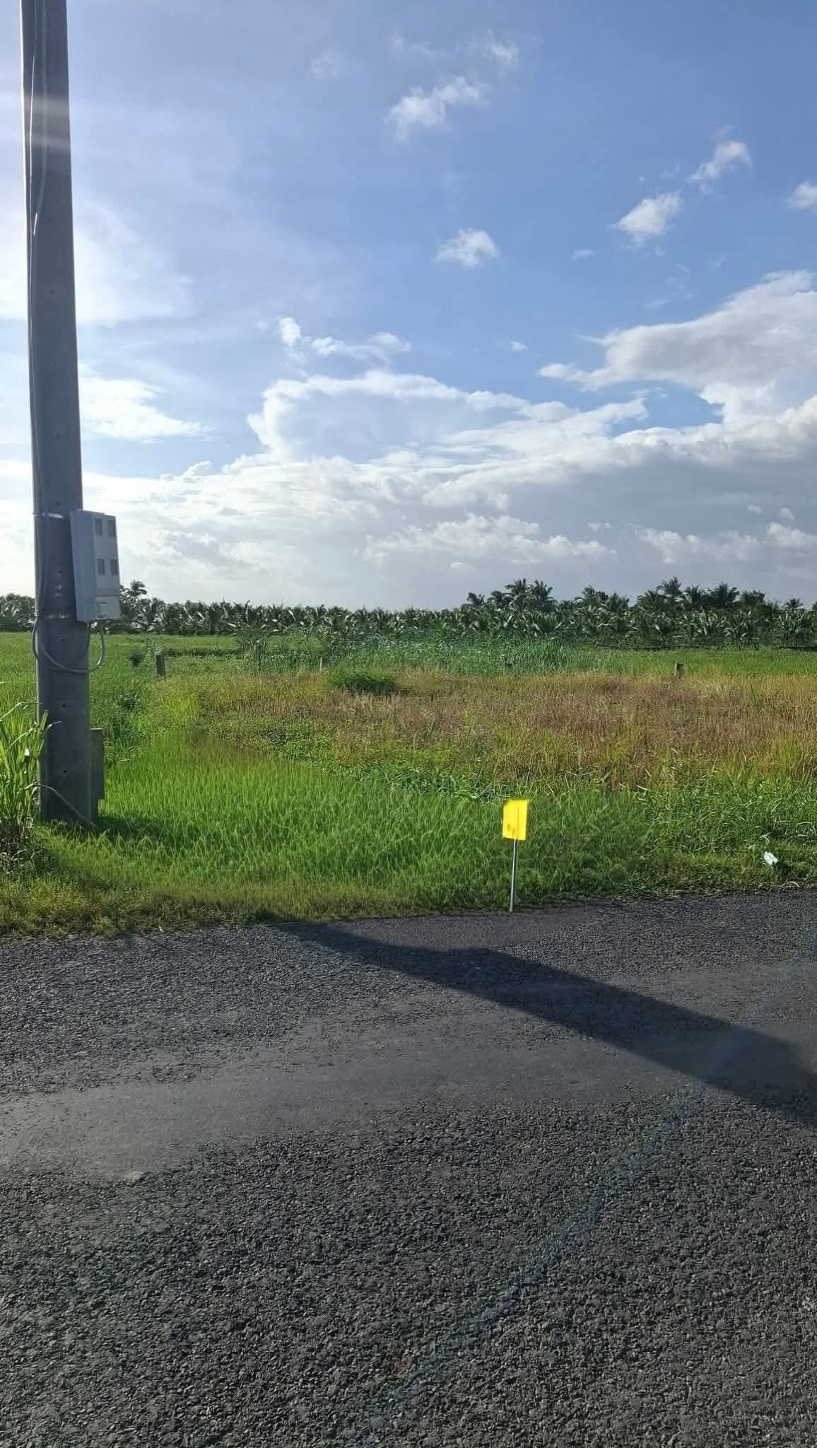 Đất vàng Gò Công Tây, sẵn nền, mặt tiền đường nhựa, giá thương lượng