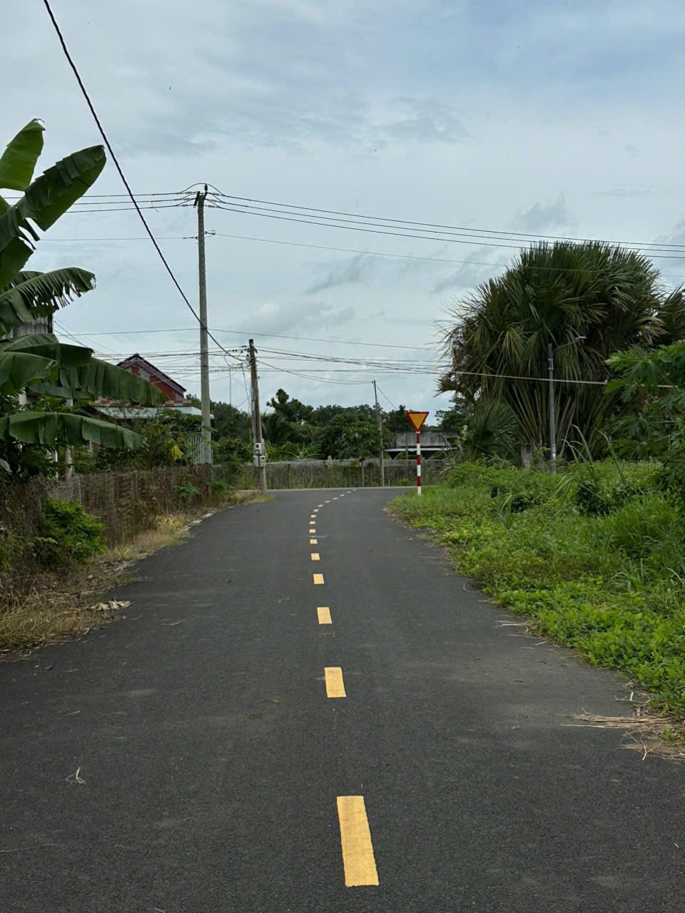 Chính chủ cần bán gấp 1000m2 đất tại xã Đất Đỏ, tỉnh Bà Rịa - Vũng Tàu