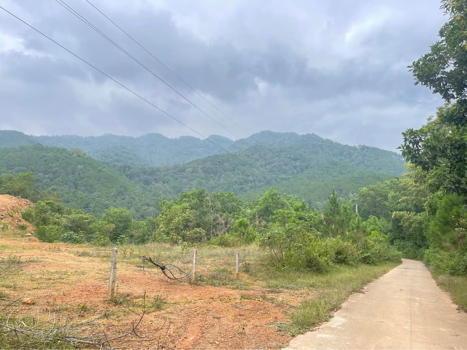 Siêu phẩm đất nghỉ dưỡng 4ha bám suối, view chill, giá hời tại Đại Lải, Vĩnh Phúc