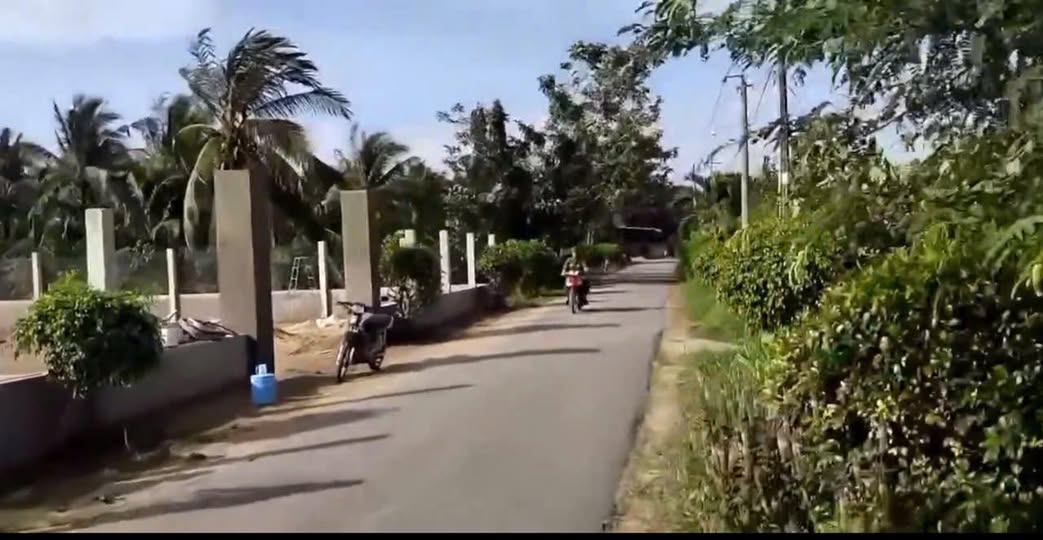 Cơ hội sở hữu ngay nền đất mặt tiền đường nhựa tại xã Mỹ Hòa, Ba Tri, Bến Tre