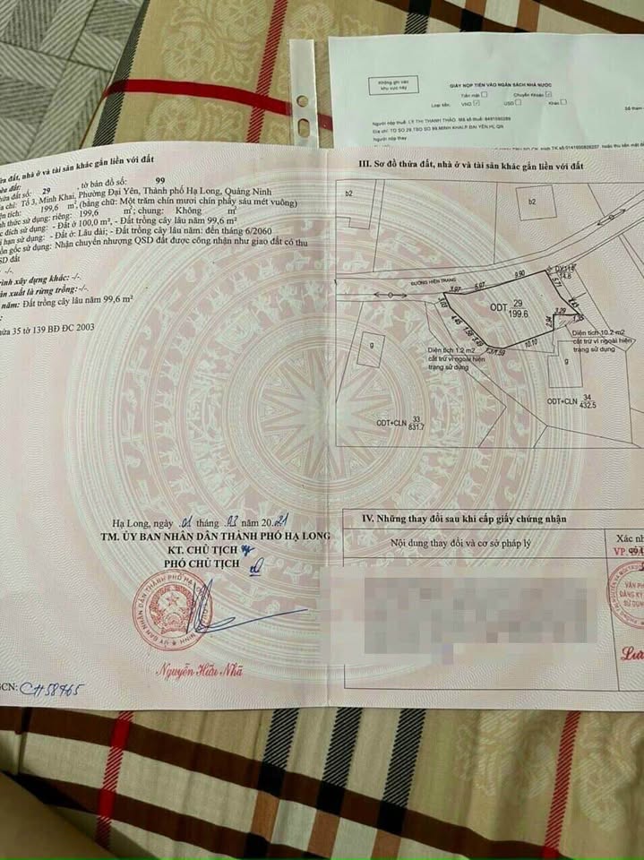 Đất vàng Minh Khai, Cẩm Phả mặt tiền rộng mênh mông, giá 'hời' chờ chủ nhân