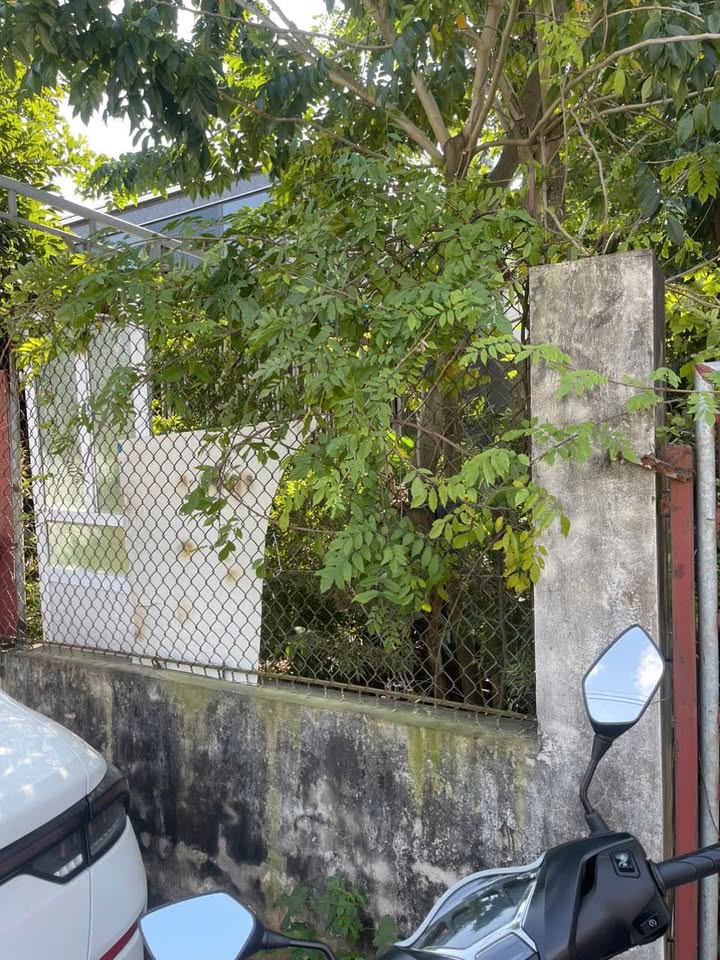 Mặt đường tránh Thị trấn Thường Tín 100m2, 4.05m mặt tiền, đường 10m container tránh, giá 90 triệu/m2