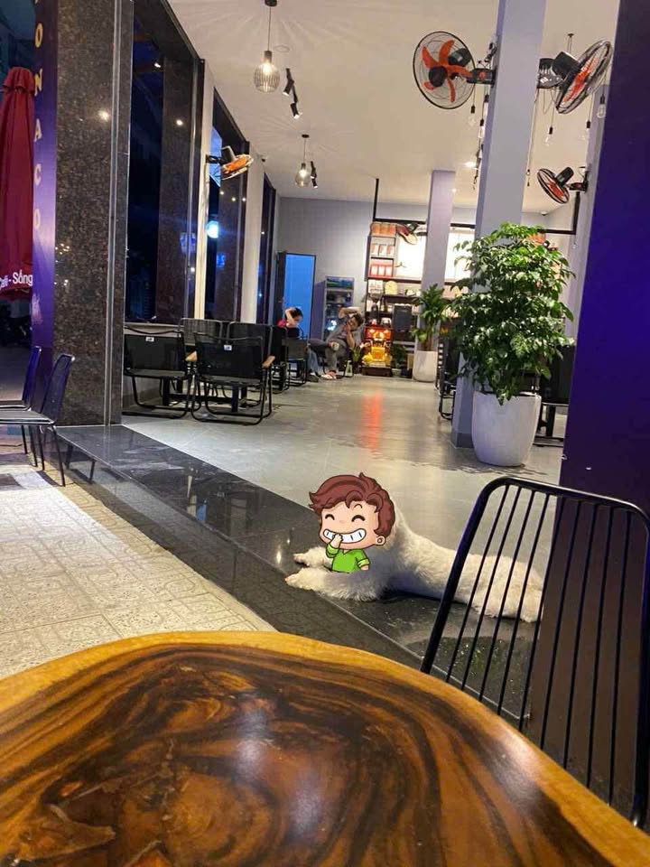 Tọa lạc tại vị trí đắc địa trên trục đường A1, căn góc với hai mặt tiền rộng rãi