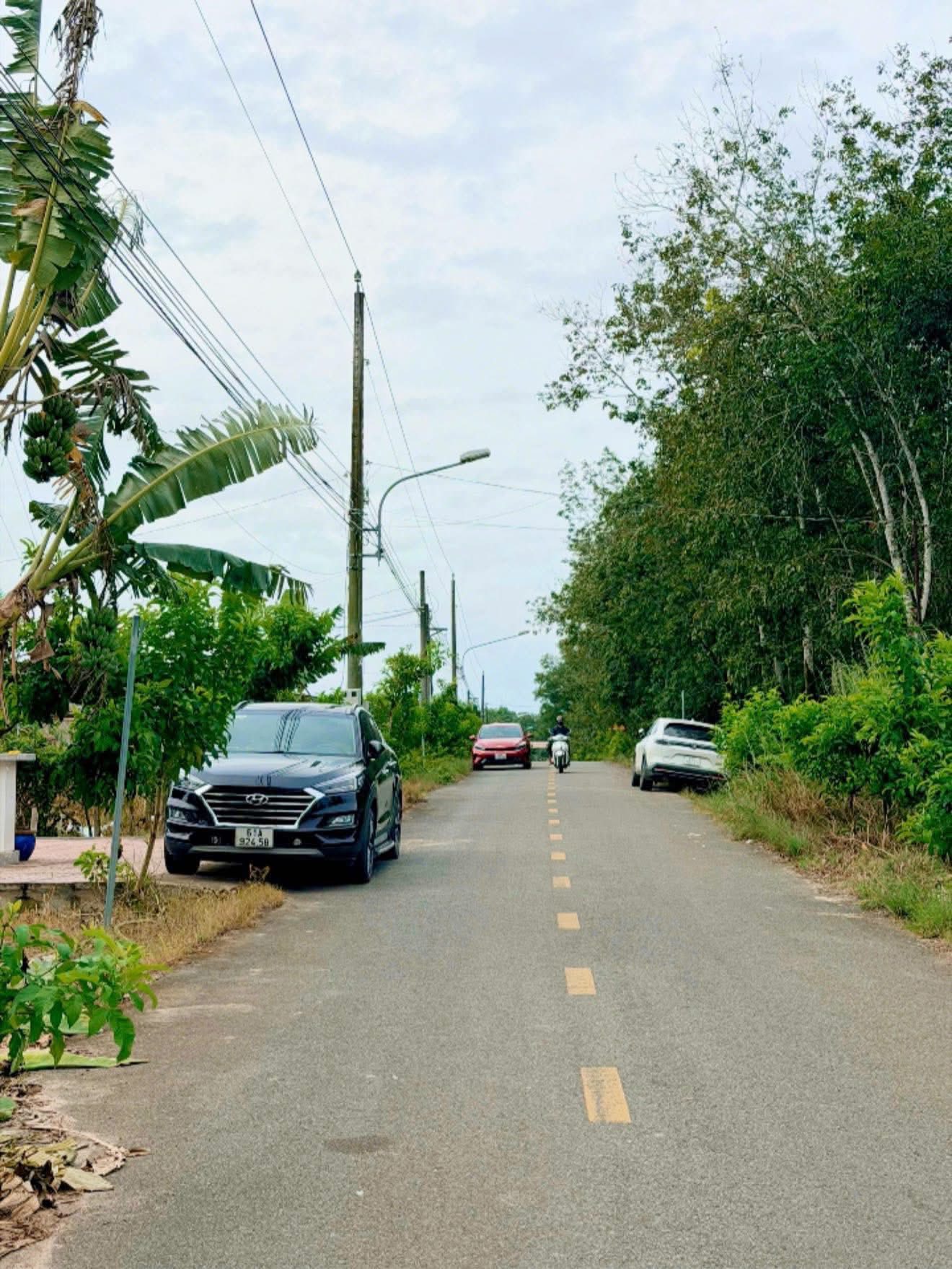 Mảnh đất vuông vắn, nở hậu với diện tích 10x31m, sẵn sàng chờ đón chủ nhân mới