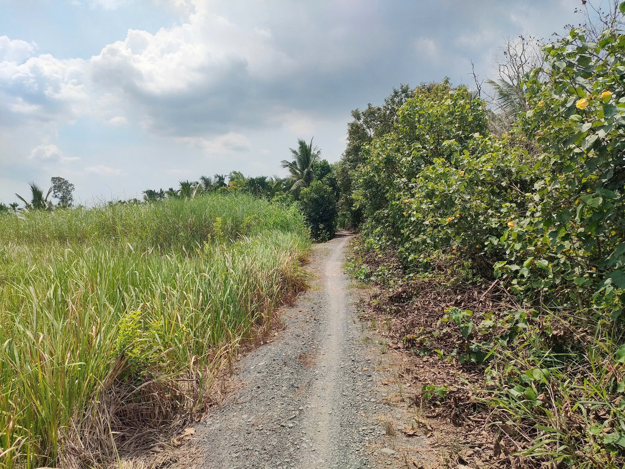 Đất nền Thạnh Hòa - Cơ hội vàng sở hữu ngay 750 triệu