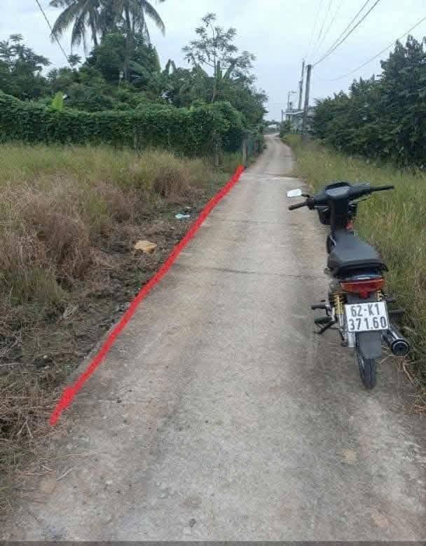 Mảnh đất 1000m² An Lành, Phú Ngãi Trị nơi hoài niệm về miền quê