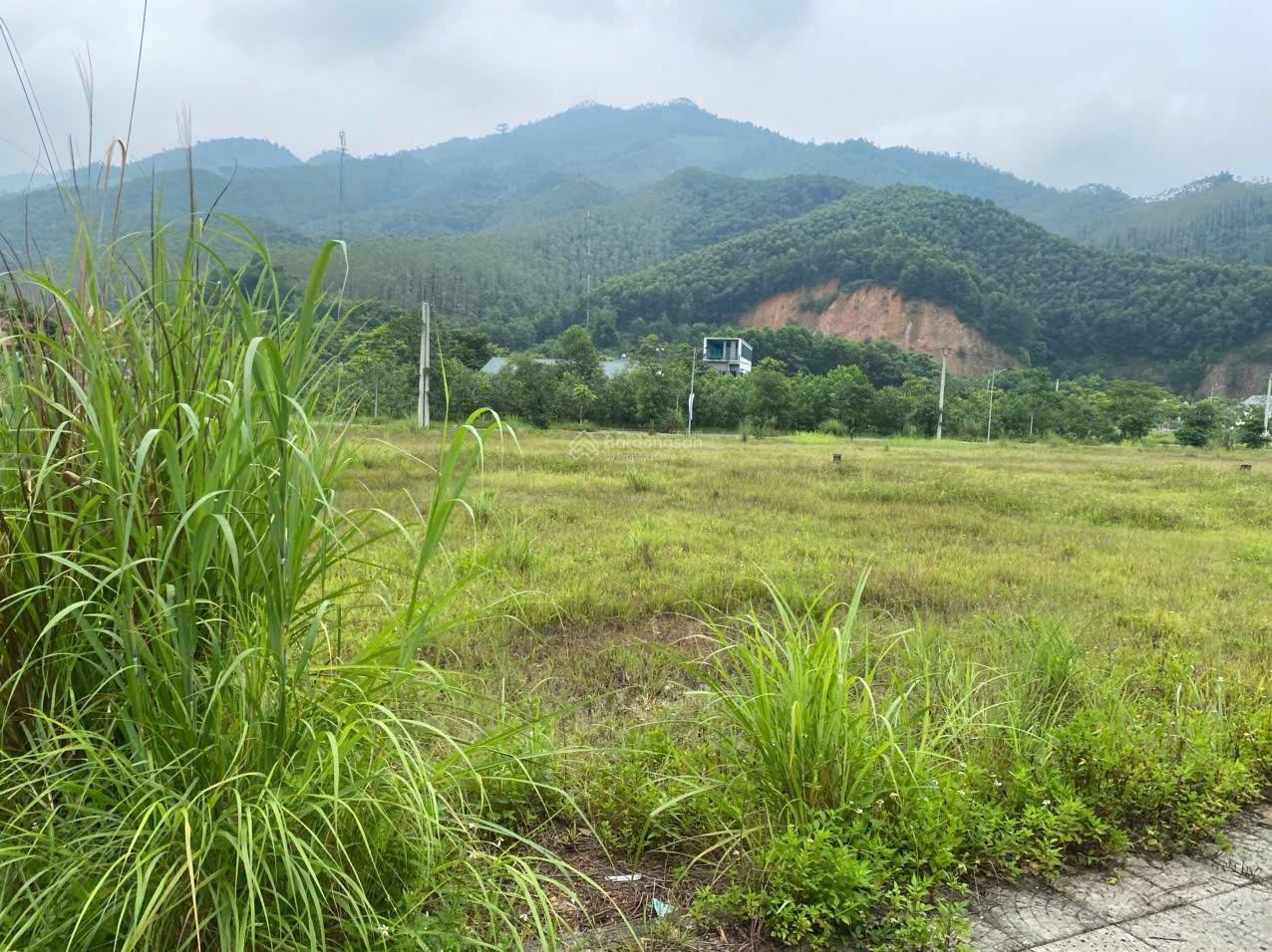 Đất nền tuyệt đẹp ở thị trấn Yên Lập, giá siêu hời 7 triệu/m2, 198m2