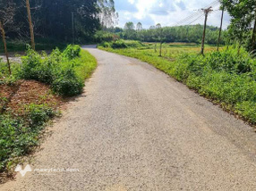 Siêu phẩm đất nền rộng tới 3300m2 tọa lạc tại vị trí đắc địa thuộc Yên Thế - Bắc Giang