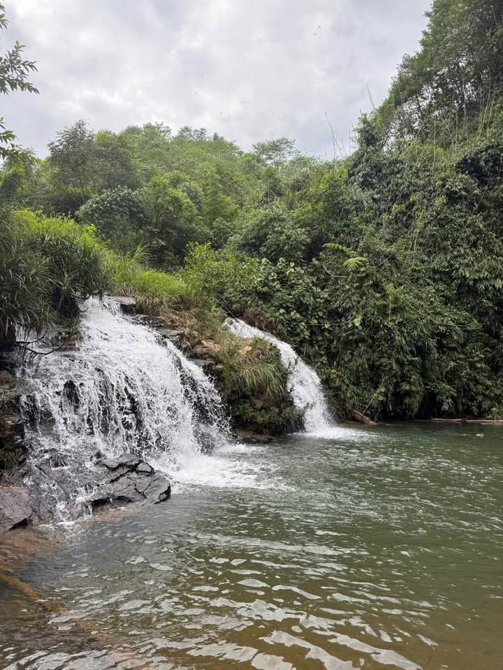 Đất rừng sản xuất 5 ha có suối chảy, thác nước tại Tân Sơn, Phú Thọ, cơ hội đầu tư hấp dẫn