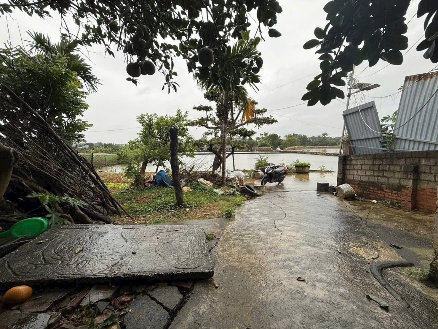 Cơ hội sở hữu ngay 600m2 đất thổ cư kèm tặng nhà và khuôn viên xanh mát tại thôn Việt Yên, Phú Cát