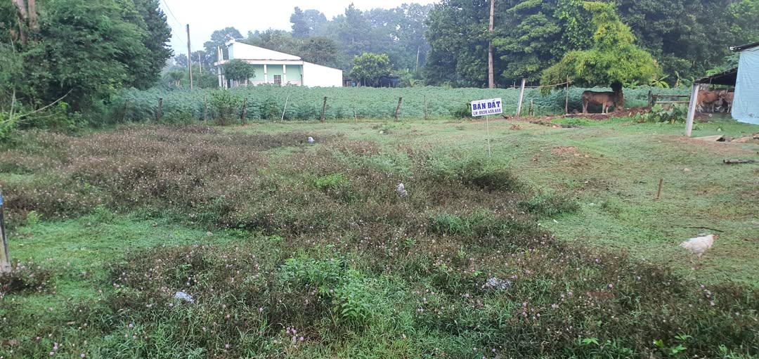 Bán đất 2 mặt tiền, vị trí đẹp tại Long Sơn, Cầu Ngang, Trà Vinh