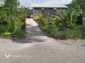 Đất nền Tiền Giang vị trí vàng, giá hời, trồng dừa xanh mát