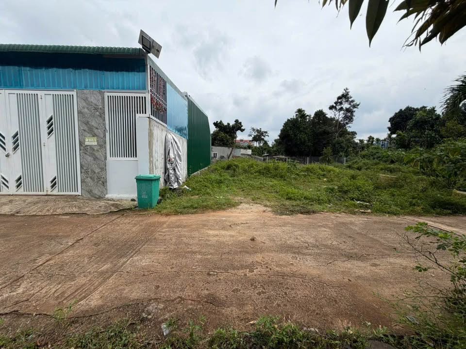 Bùng nổ đất vàng 6m x 23m, 60m2 thổ cư, chỉ 1,47 tỷ tại phường Tân An, Buôn Ma Thuột