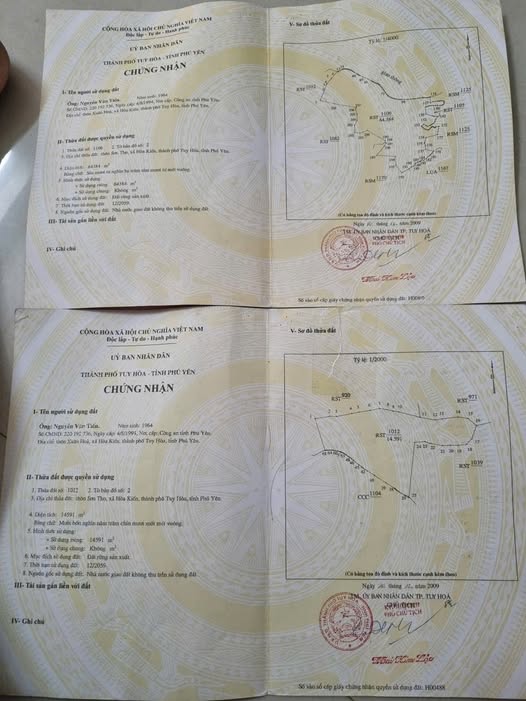 Bán 1 hecta đất trồng keo, bạch đàn 3 năm tuổi tại Hòa Kiến, Phú Yên