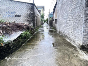 Cân bán lô góc tại diễn châu , nghệ an