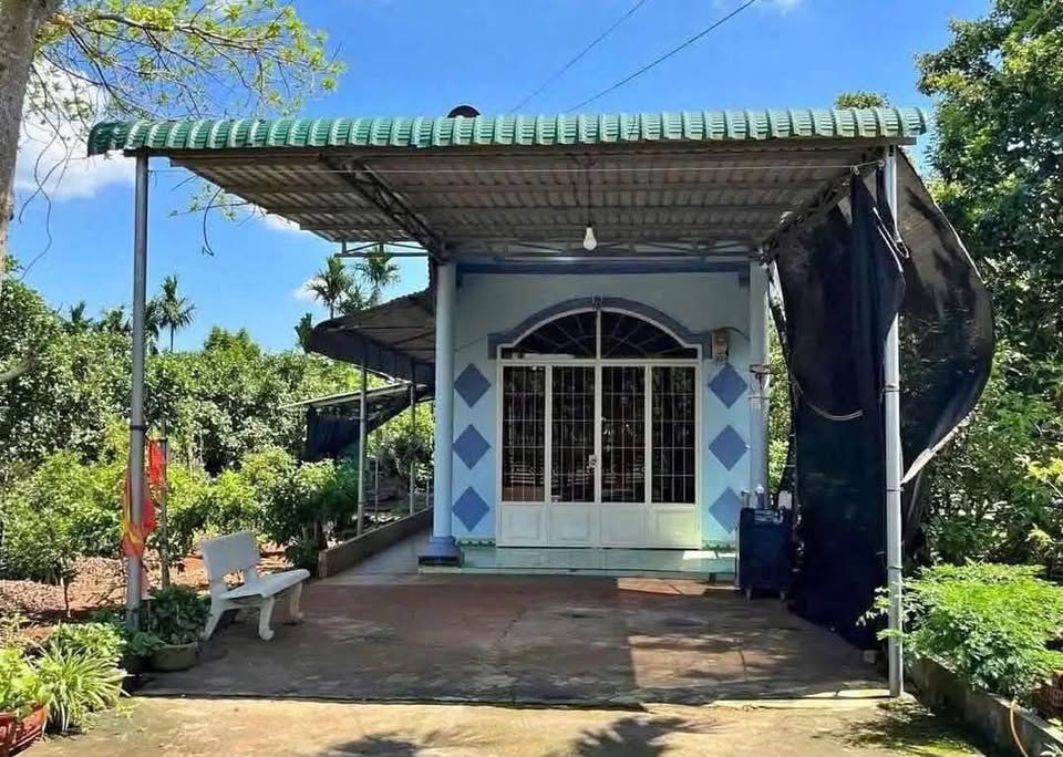 Chủ nhà cần sang nhượng gấp lô đất vườn sổ riêng rộng 3000m2