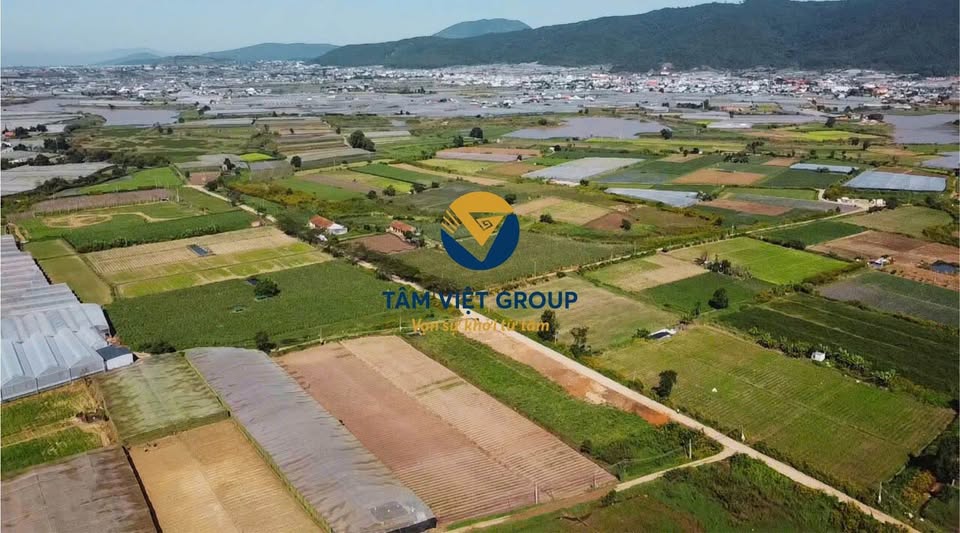 Đất nền sổ riêng, giá chỉ từ 430 triệu/lô tại Đơn Dương