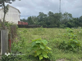 Đất mặt tiền Đặng Dung - đầu tư sinh lời ngay