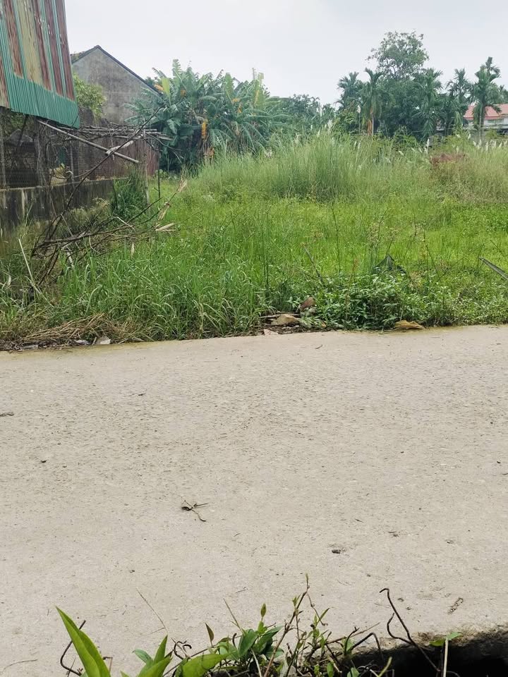 Bán đất Nghĩa Trung, An Hà, 6x19m, giá 4xx triệu, sát chợ, dân đông đúc