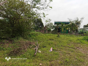 Lão Cầu, Tiên Tân, đất vàng đầu tư, sinh lời vững chắc