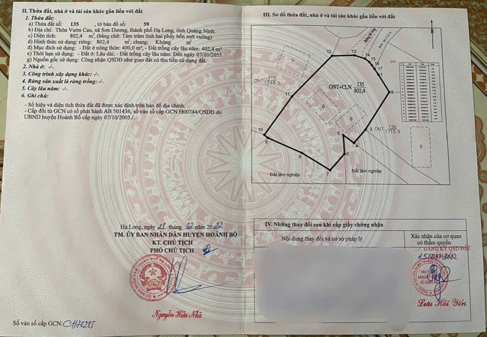 Cơ hội vàng sở hữu ngay hơn 800m² đất siêu đẹp tại vị trí trung tâm xã Sơn Dương, Hoành Bồ