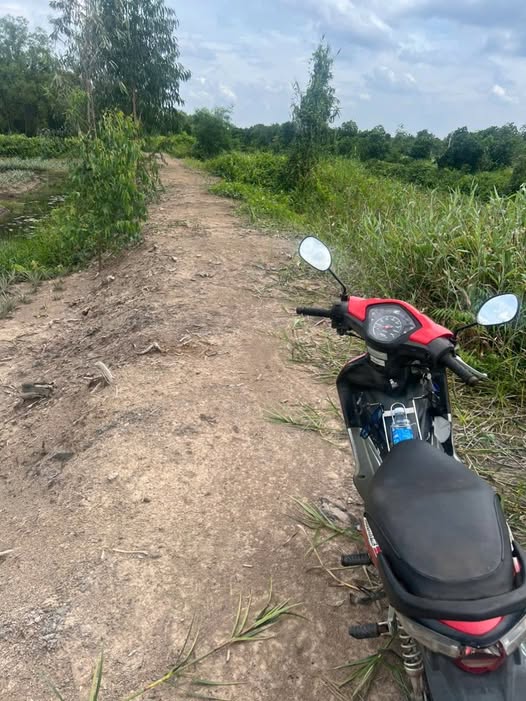 Bán mảnh đất vườn tại Thạnh Mỹ cũ, cách đường ô tô chỉ 700m, giá 120 triệu/công đất